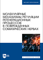 Молекулярные механизмы регуляции регенерационных процессов в поврежденных соматических нервах, Парчайкина М. В., Чудайкина Е. В., Ревина Э. С., Грунюшкин И. П., Кузьменко Т. П., Садовникова Е. С., Ревин В. В., Издательство Лань.