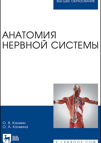 Анатомия нервной системы, Калмин О. В., Калмина О. А., Издательство Лань.