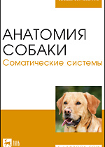 Анатомия собаки. Соматические системы, Слесаренко Н. А., Бабичев Н.В., Дурткаринов Е. С., Капустин Ф. Р., Издательство Лань.
