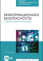 Информационная безопасность. Лабораторный практикум, Гилязова Р. Н., Издательство Лань.