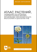 Атлас растений, учитываемых при апробации сортовых посевов зерновых, зернобобовых, масличных культур, многолетних и однолетних трав, Рубец В.С., Пыльнев В.В., Березкин А.Н., Буко О.А., Дждиед Х., Комарова Е.А, Издательство Лань.