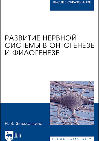 Развитие нервной системы в онтогенезе и филогенезе, Звездочкина Н. В., Издательство Лань.