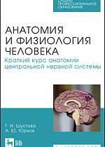 Анатомия и физиология человека. Краткий курс анатомии центральной нервной системы, Шустова Т. И., Юрков А. Ю., Издательство Лань.