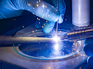 Ученые разработали эффективное антибактериальное покрытие для протезов