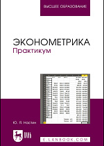 Эконометрика. Практикум, Настин Ю. Я., Издательство Лань.