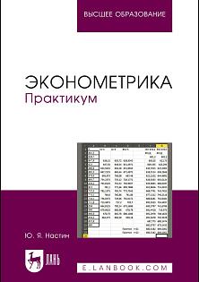 Эконометрика. Практикум, Настин Ю. Я., Издательство Лань.