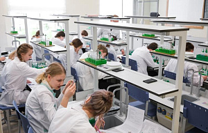 В России вузы могут перейти на новую модель образования в 2027 году