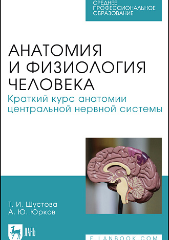 Анатомия и физиология человека. Краткий курс анатомии центральной нервной системы, Шустова Т. И., Юрков А. Ю., Издательство Лань.