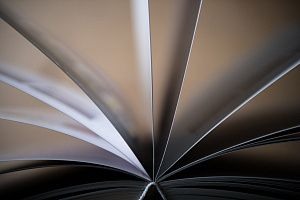 Достоевский, Толстой и Булгаков стали самыми читаемыми авторами в системе "Лань"