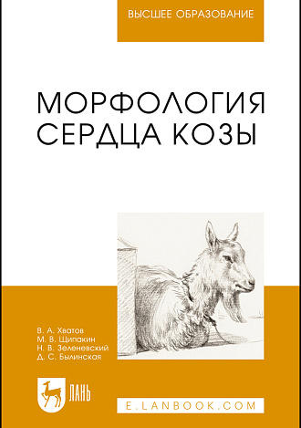Морфология сердца козы, Хватов В. А., Щипакин М. В., Зеленевский Н. В., Былинская Д.С., Издательство Лань.