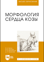 Морфология сердца козы, Хватов В. А., Щипакин М. В., Зеленевский Н. В., Былинская Д.С., Издательство Лань.