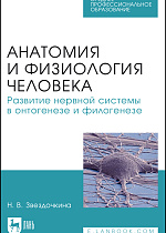 Анатомия и физиология человека. Развитие нервной системы в онтогенезе и филогенезе, Звездочкина Н. В., Издательство Лань.