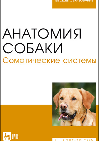 Анатомия собаки. Соматические системы, Слесаренко Н. А., Бабичев Н.В., Дурткаринов Е. С., Капустин Ф. Р., Издательство Лань.