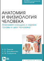 Анатомия и физиология человека. Анатомия сосудов и нервов головы и шеи человека, Павлов А. В., Филимонова Л. Б., Байриков И. М., Издательство Лань.