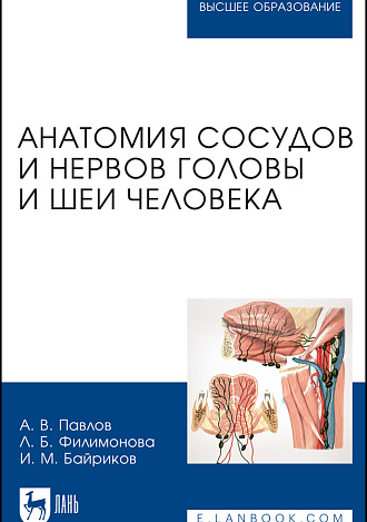 Анатомия сосудов и нервов головы и шеи человека, Павлов А. В., Филимонова Л. Б., Байриков И. М., Издательство Лань.