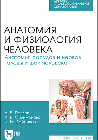 Анатомия и физиология человека. Анатомия сосудов и нервов головы и шеи человека, Павлов А. В., Филимонова Л. Б., Байриков И. М., Издательство Лань.