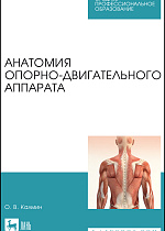 Анатомия опорно-двигательного аппарата, Калмин О. В., Издательство Лань.
