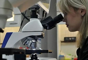 Более 900 новых молодежных лабораторий появилось в РФ с 2018 года - исследование