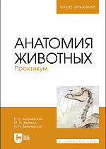 Анатомия животных. Практикум, Зеленевский Н. В., Щипакин М. В., Зеленевский К.Н., Издательство Лань.