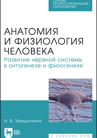 Анатомия и физиология человека. Развитие нервной системы в онтогенезе и филогенезе, Звездочкина Н. В., Издательство Лань.
