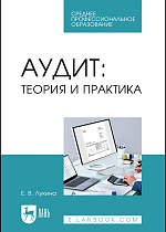 Аудит: теория и практика, Лукина Е. В., Издательство Лань.