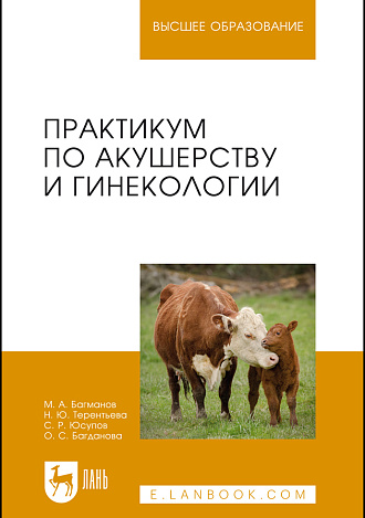 Практикум по акушерству и гинекологии, Багманов М. А., Терентьева Н. Ю., Юсупов С. Р., Багданова О. С., Издательство Лань.