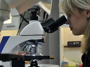 Более 900 новых молодежных лабораторий появилось в РФ с 2018 года - исследование