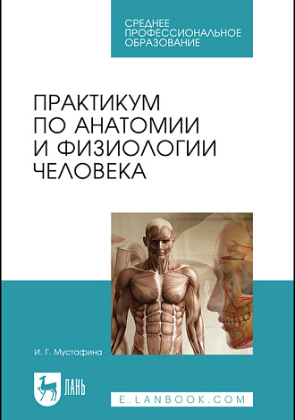 Практикум по анатомии и физиологии человека, Мустафина И. Г., Издательство Лань.